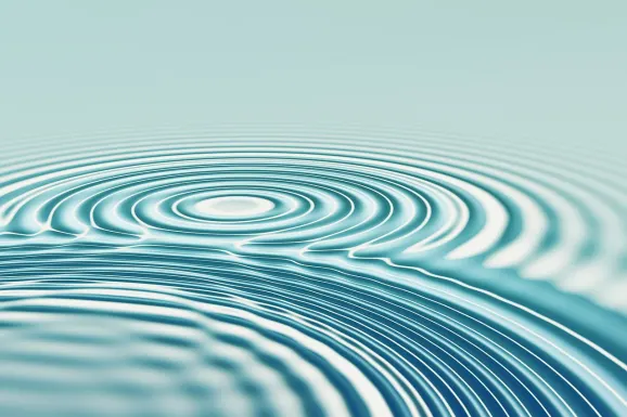 Καζίνο ΠΝΞ Βετ Υποστηριξη